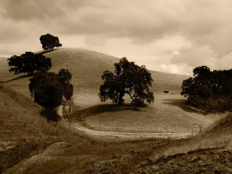 竹林七贤<br>qyf5seag.cn 魏晋风度再现